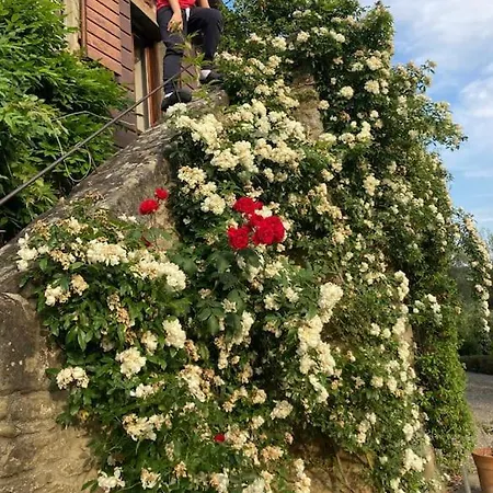 Villa Torretta Filomena Toscana Cortona